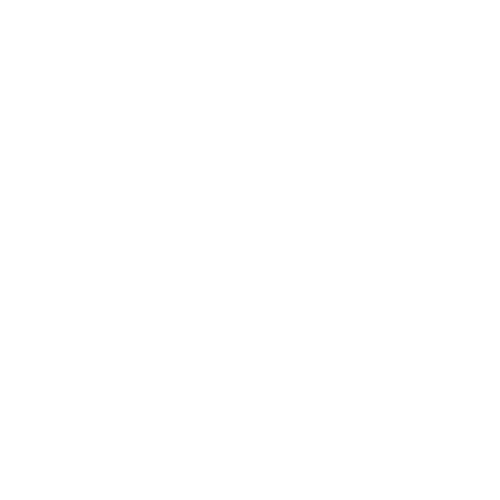 MA Birds Accessories