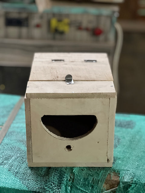 Pack of 5 Breeding box for jawa and finch in mango wood. 8x6x6