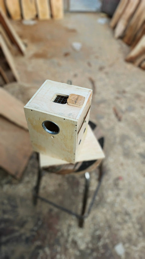 Pack of 5 Breeding Box for Lovebirds 7x8x10 in ( Mango Wood) with ( Double Side Door)
