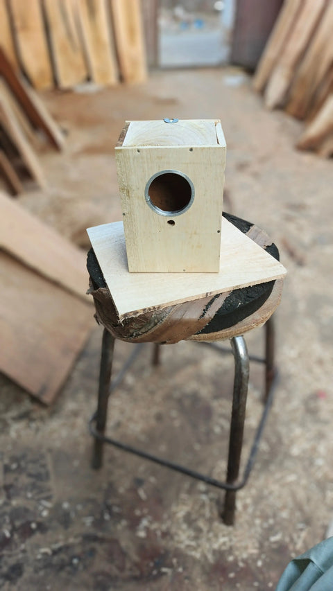 Pack of 5 Breeding box for budgies in mango wood 8x6x5