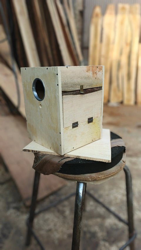 Pack of 5 Breeding Box for Lovebirds 7x8x10 in ( Mango Wood) with ( Double Side Door)