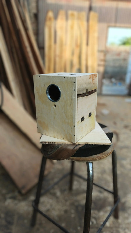Pack of 5 Breeding Box for Lovebirds 7x8x10 in ( Mango Wood) with ( Double Side Door)