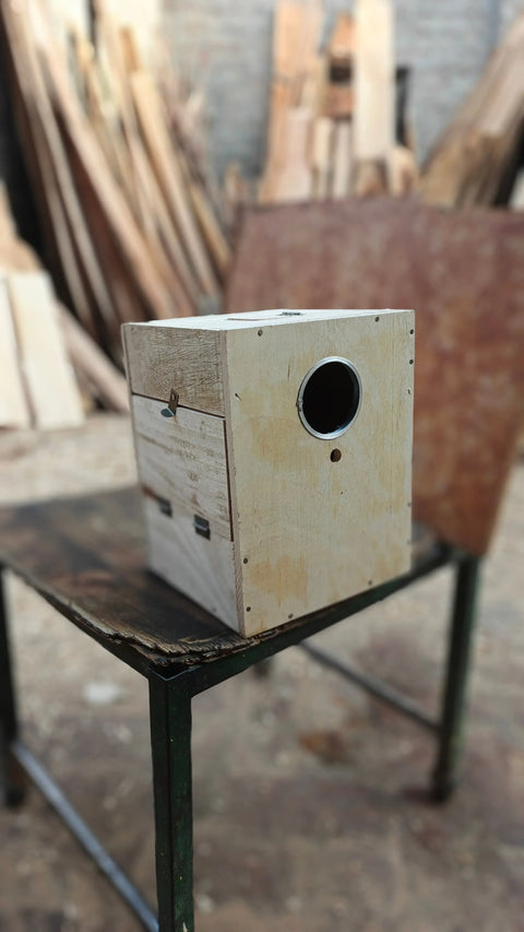 Pack of 5 Breeding Box for Lovebirds 7x8x10 in ( Mango Wood) with ( Double Side Door)