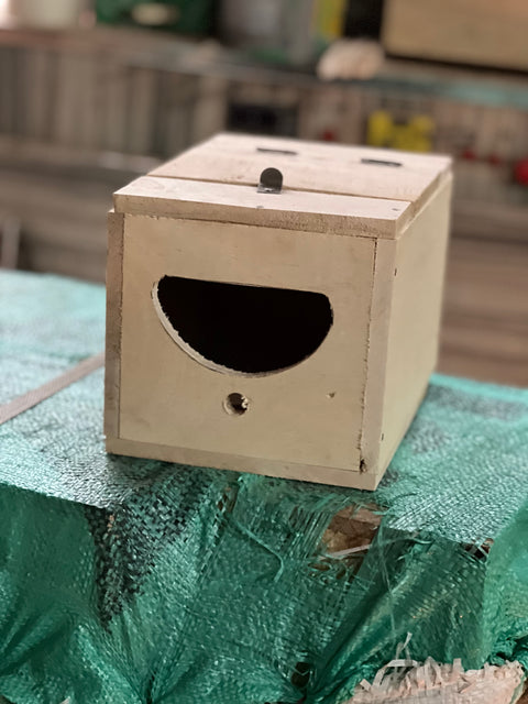 Pack of 5 Breeding box for jawa and finch in mango wood. 8x6x6