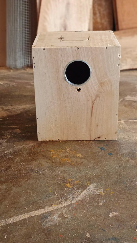 Pack of 5 Breeding Box for Lovebirds 7x8x10 in ( Mango Wood) with ( Double Side Door)