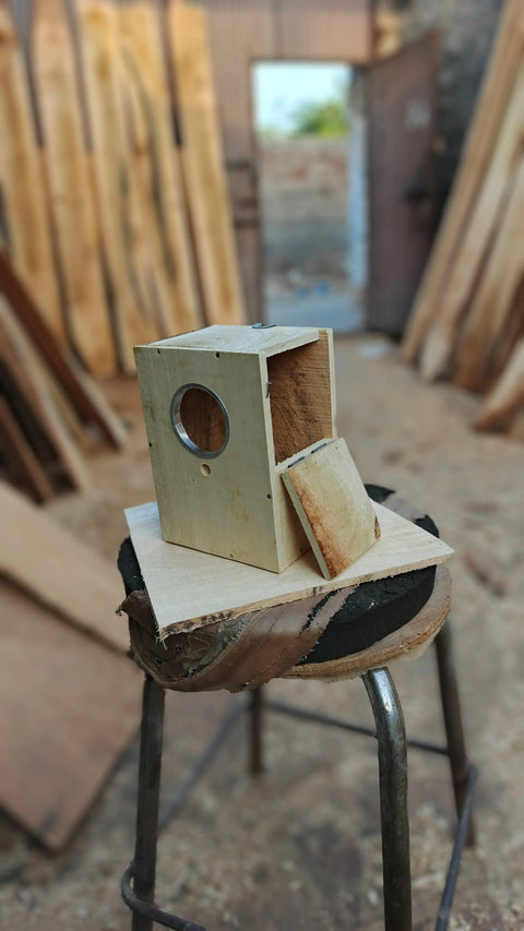 Pack of 5 Breeding box for budgies in mango wood 8x6x5