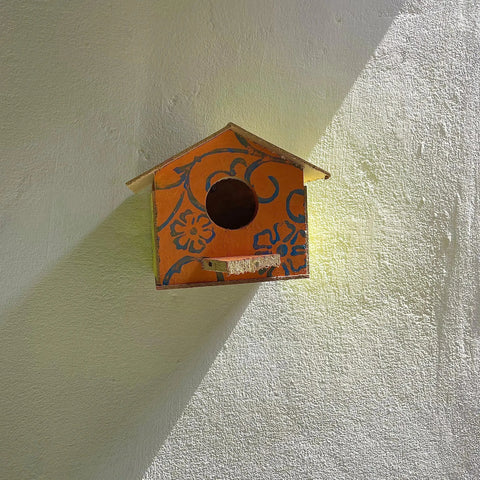 Birds huts sparrow houses Pack of 5(regular)